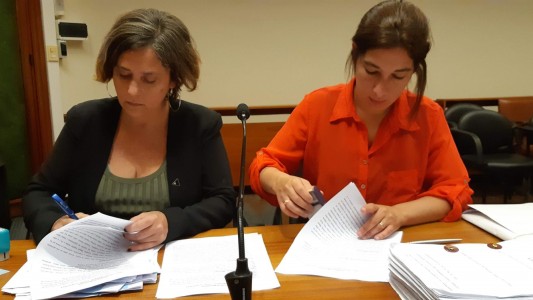 Condenaron a 13 años de prisión al hombre que intentó matar a su expareja con una picana