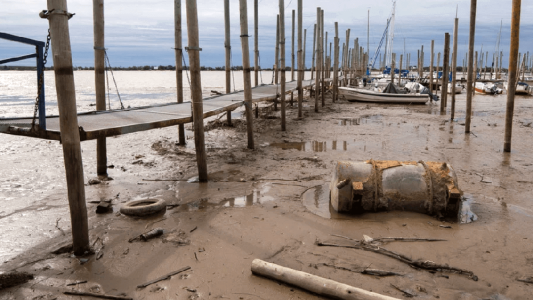 La bajante del Río Paraná produjo una perdida millonaria en el primer cuatrimestre