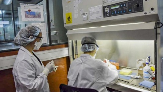 El Malbrán desarrolló una técnica pare detectar anticuerpos del coronavirus