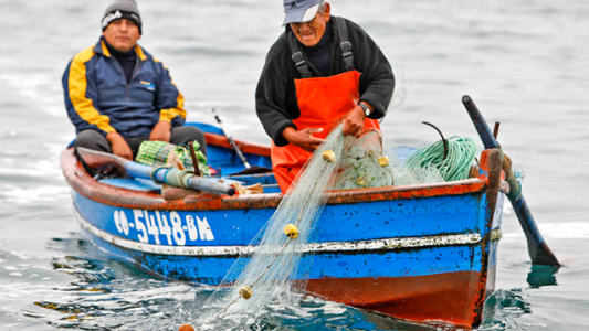 Pescadores de Alto Verde piden ayuda de manera urgente
