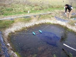 Premian una investigación argentina sobre glifosato en el agua