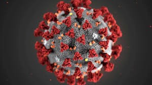 Israel anunció que desarrolló un anticuerpo para neutralizar el coronavirus