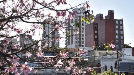 Ya se pueden declarar las mejoras edilicias construidas sin permiso municipal