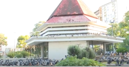 Preocupación por la sobrepoblación y el abandono de las palomas