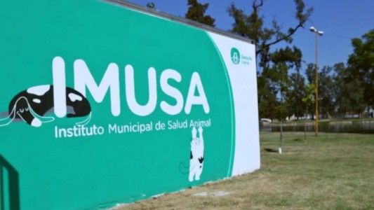 El IMUSA brinda atención especial a animales de compañía durante la cuarentena