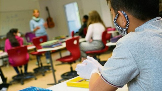 Regreso a las aulas y "sistema dual" de clases: Trotta adelantó licencias para padres