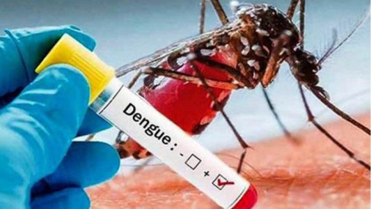 Jujuy atraviesa el mayor brote de dengue de su historia con 3.308 casos