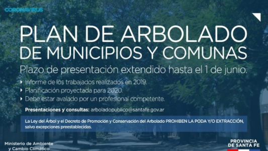 La provincia extendió el plazo de presentación de los Planes de Arbolado