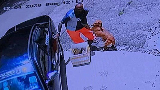 La perra que se abraza a su dueño en el momento de ser abandonada junto a sus cachorros