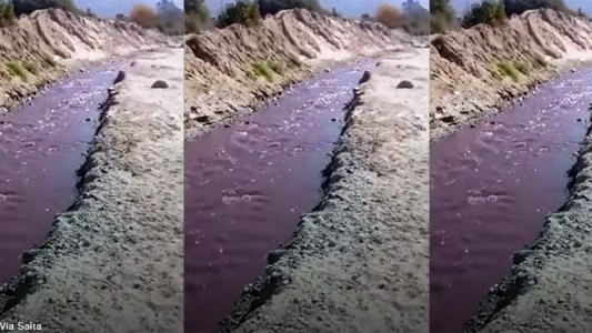 Video: el río de vino tinto que sorprendió a los vecinos de Cafayate