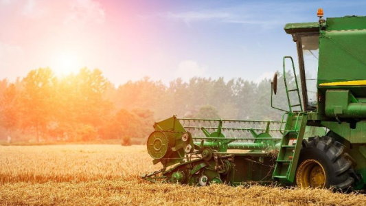 "En el sector agropecuario estamos listos para producir en el gobierno nacional, no sabemos"