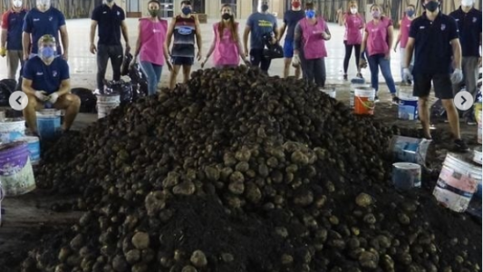 Solidarios: De jugar al rugby a convertirse en embolsadores de papas