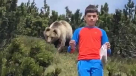 Video viral: la increíble reacción de un nene perseguido por un enorme oso pardo