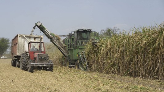 Nuevas medidas del Banco Central para proteger a productores rurales