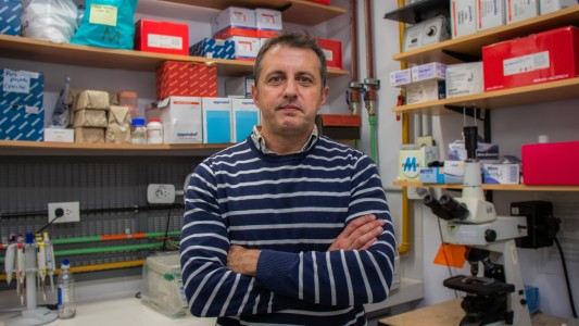 Docente de la UNL, miembro de la Asociación Científica para Probióticos y Prebióticos