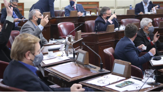 Manifestaciones en el Senado ante la delicada situación de Vicentín