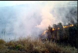 Cabandié sobrevolará el delta del río Paraná afectado por las quemas de pastizales