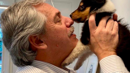 Alberto Fernández presentó a Kaila, la hija de su perro Dylan
