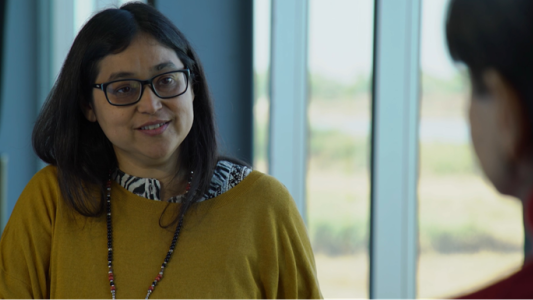 Capital Cultural: conversaciones en el Día de la Bandera