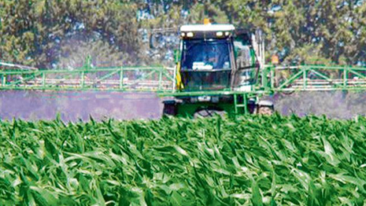 Rechazan la apelación de la histórica cautelar que restringió las fumigaciones