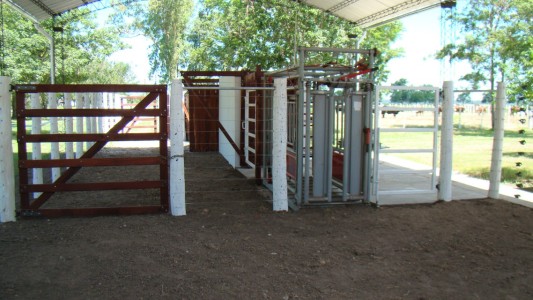 Santa Fe obtuvo la habilitación para un centro de genética bovina en el norte santafesino