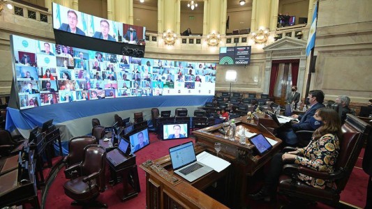 Polémica en el Senado nacional por la aprobación del proyecto para investigar a Vicentin