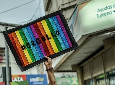 Diversidad: reconocer y respetar en pos de una universidad plural