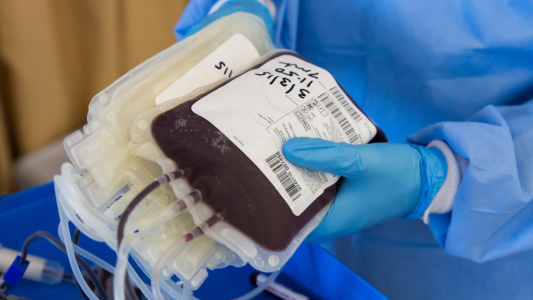 Leve mejoría en dos pacientes con Covid tratados con plasma