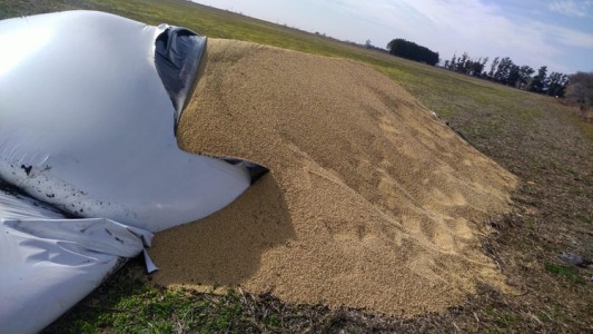 Delitos contra el campo: preocupan los ataques por "odio", según los productores