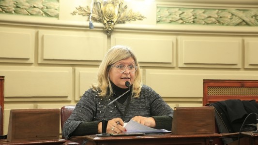 Balagué esperaba “más precisiones” de la ministra Cantero en Diputados
