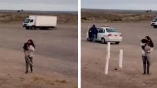 Un perro viajó 450 kilómetros en taxi para encontrarse con sus dueños