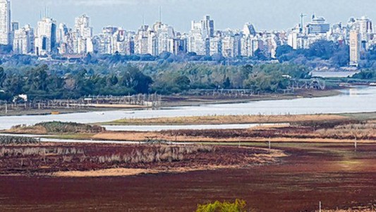 La Justicia federal de Entre Ríos prohibió las quemas de pastizales