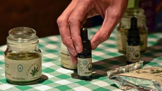 Proponen la creación de un Banco Municipal de Aceite de Cannabis con un cultivo comunitario