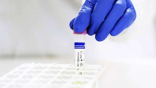 Hallan nueva cepa del coronavirus hasta 9 veces más infecciosa que la original