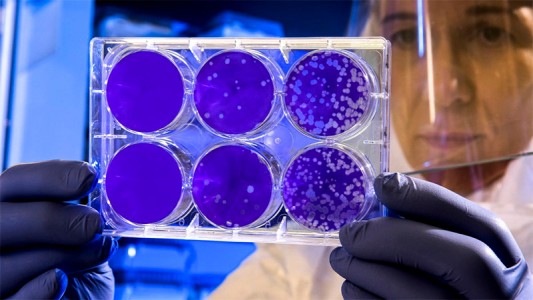 Entre Ríos: 6 nuevos casos de coronavirus este domingo y 4 son de Paraná