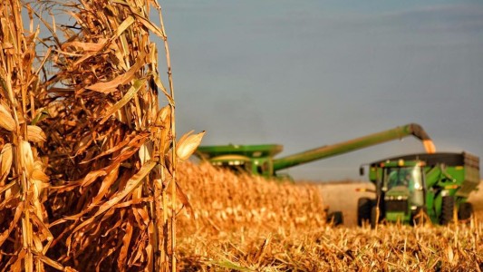Estiman que la campaña agrícola alcanzará los 138 millones de toneladas este año