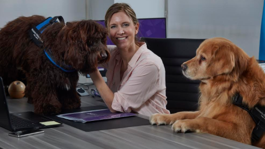 "Brownie" y "Titán": los perros que acompañan a los chicos en las cámara Gesell