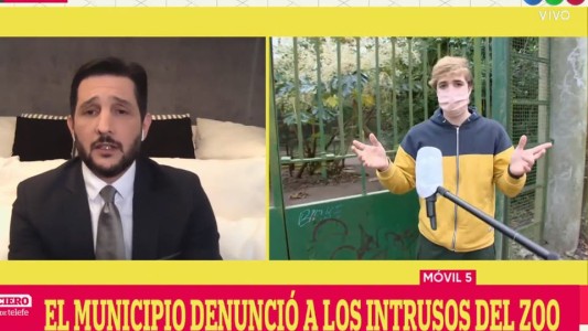 El youtuber que entró al Zoo usó una página porno para sacar el permiso de circulación (1)