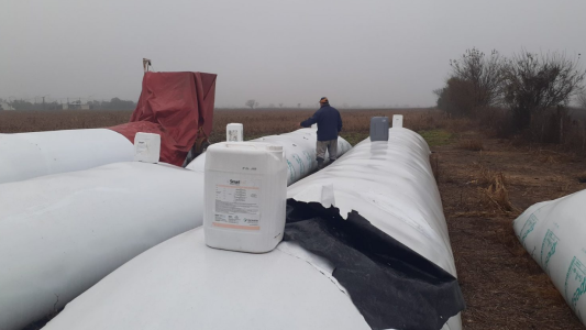 Rotura de silobolsas: “hay un condimento político detrás”, afirman desde CARSFE