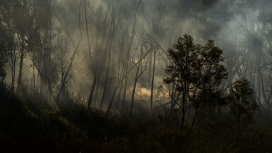 Los incendios vuelven con fuerza en medio de la pandemia
