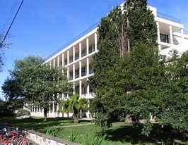 Las prácticas finales de Medicina Veterinaria en la UNL serán presenciales