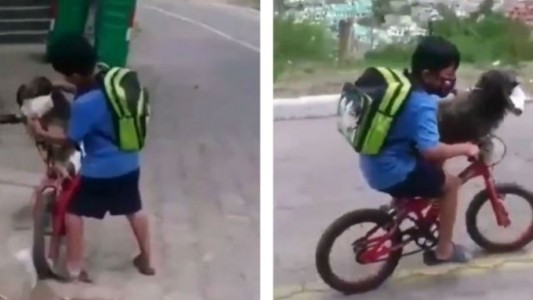 Video: el nene que le pone tapabocas a su perro para cuidarlo del coronavirus