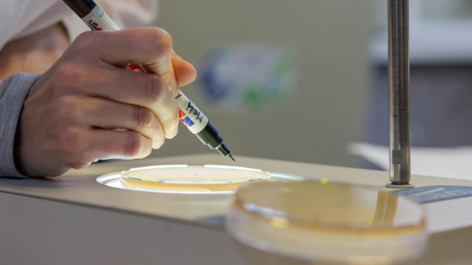 La UNL firmó un convenio con el Instituto de Tecnología de Massachussets