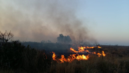Los incendios afectaron a Rafaela y localidades del departamento Castellanos