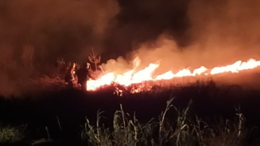 Quema de pastizales: "estamos alertas, muy preocupados y en permanente monitoreo"