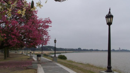 Bajó la temperatura y se esperan lloviznas débiles en la ciudad