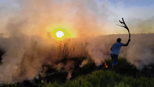 Quemas en las islas: ambientalistas marcharán en Santa Fe, Rosario y Paraná