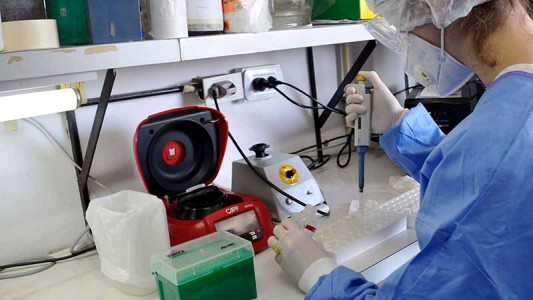 Entre Ríos: otra jornada con más de cien casos de coronavirus