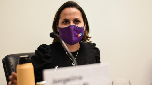 Violencia de género: plantean crear una línea telefónica gratuita