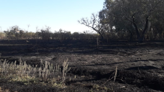 Incendios forestales: Silvio González realizó la denuncia en el MPA